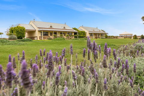 Barossa Vineyard Cottages - Grafton Accommodation 10