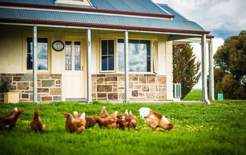 Barossa Vineyard Cottages - Grafton Accommodation 40