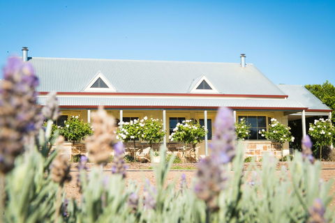 Barossa Vineyard Cottages - Grafton Accommodation 3