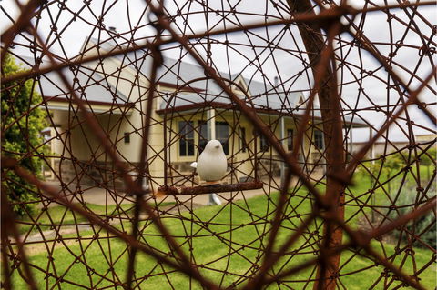 Barossa Vineyard Cottages - Grafton Accommodation 21