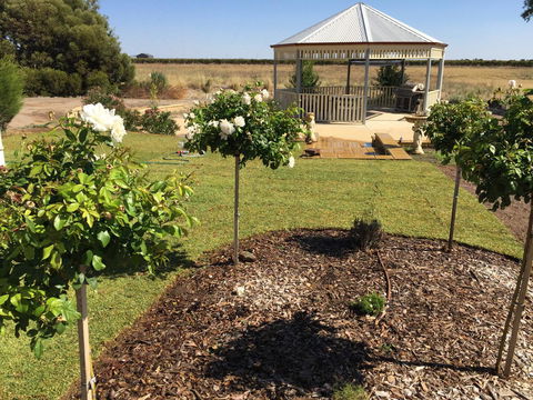 Barossa Vineyard Cottages - Grafton Accommodation 43