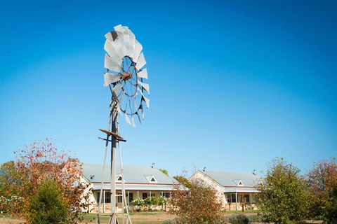Barossa Vineyard Cottages - Grafton Accommodation 6