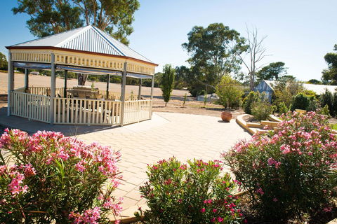 Barossa Vineyard Cottages - Grafton Accommodation 4