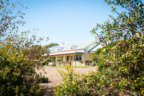Barossa Vineyard Cottages - Grafton Accommodation 2