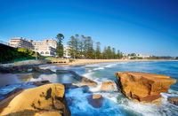 Book Terrigal Accommodation Vacations Grafton Accommodation Grafton Accommodation