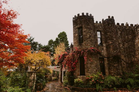 The Manor Basket Range - Grafton Accommodation 15