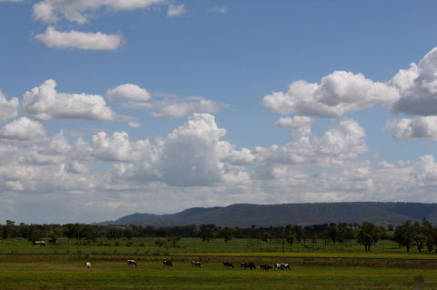 Isis Motel Scone - Grafton Accommodation 5