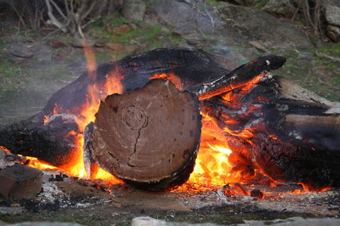 Rabbiters Hut - Grafton Accommodation 15