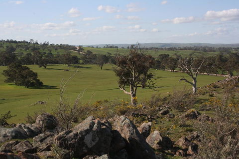 Rabbiters Hut - Grafton Accommodation 28