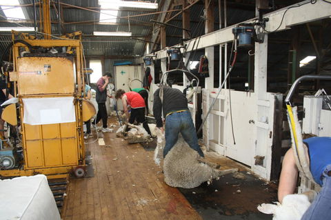 Rabbiters Hut - Grafton Accommodation 18