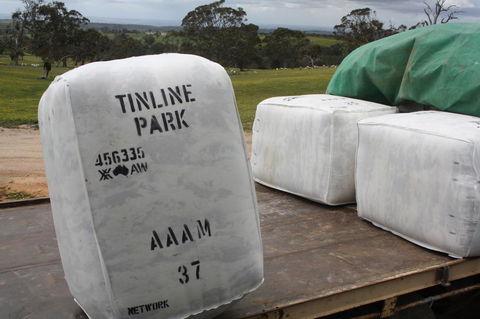 Rabbiters Hut - Grafton Accommodation 21