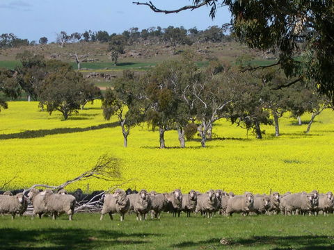 Rabbiters Hut - Grafton Accommodation 16