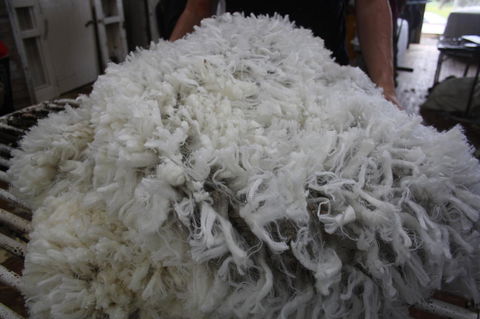 Rabbiters Hut - Grafton Accommodation 20