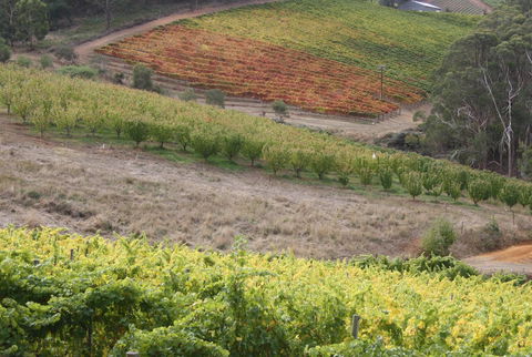 Rabbiters Hut - Grafton Accommodation 25