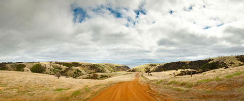 Penneshaw Oceanview Apartments - Grafton Accommodation 20