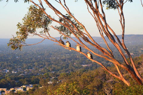 Kingsview Belair, Apartment Grand Views Of Adelaide - Grafton Accommodation 1