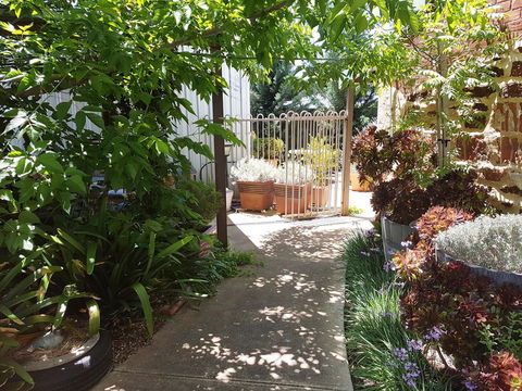 Little Para Cottage Tanunda - Grafton Accommodation 12