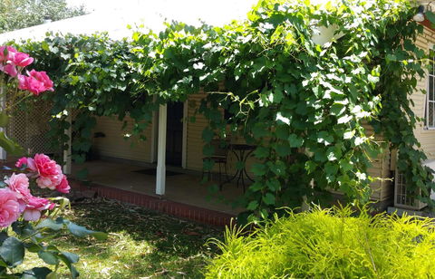 Amy\'s House Bed & Breakfast - Grafton Accommodation 34