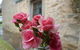 Amy\'s House Bed & Breakfast - thumb 30