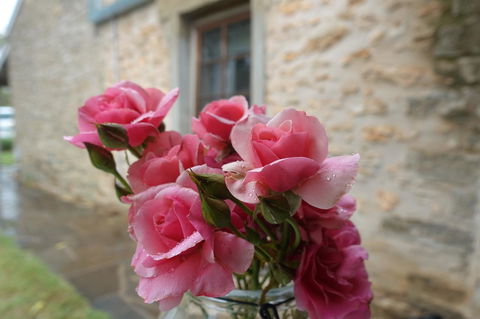 Amy\'s House Bed & Breakfast - Grafton Accommodation 30