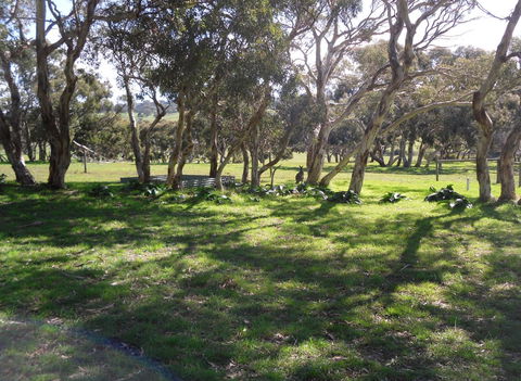 Wenton Farm Holiday Cottages - Grafton Accommodation 1