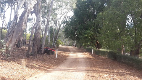 Taralee Orchards - Grafton Accommodation 4