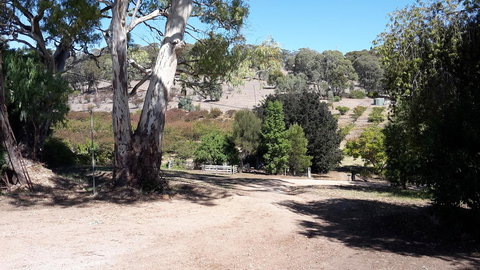 Taralee Orchards - Grafton Accommodation 3