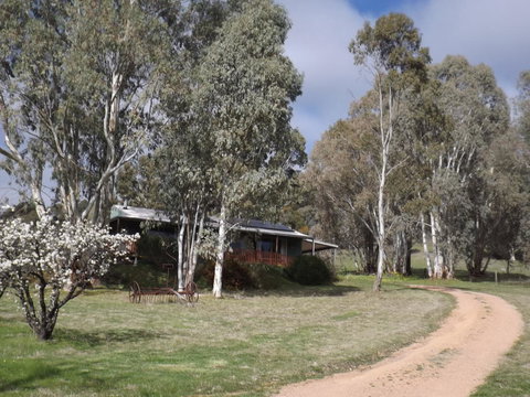 Taralee Orchards - Grafton Accommodation 9