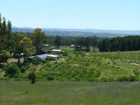Taralee Orchards - Grafton Accommodation 0
