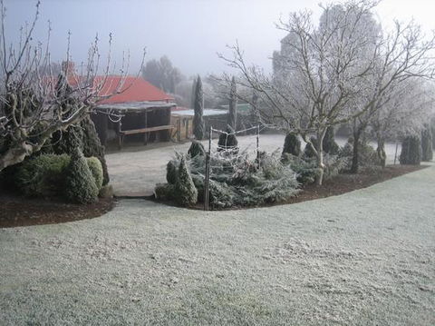 Vineyard Cottage BnB - Grafton Accommodation 15