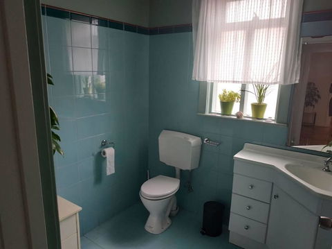 Diamond On Olive - Grafton Accommodation 1