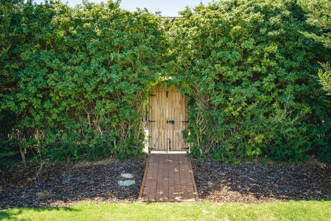 Mick O\'Sheas - Grafton Accommodation 32