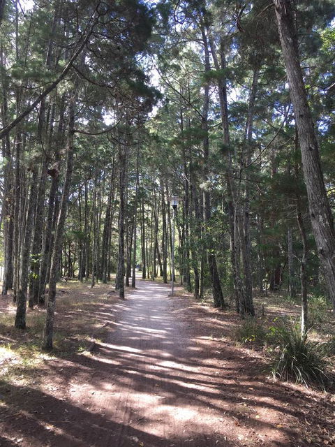 Brunswick Heads Treetop Studio - Grafton Accommodation 8