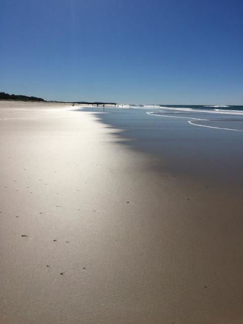 Brunswick Heads Treetop Studio - Grafton Accommodation 23