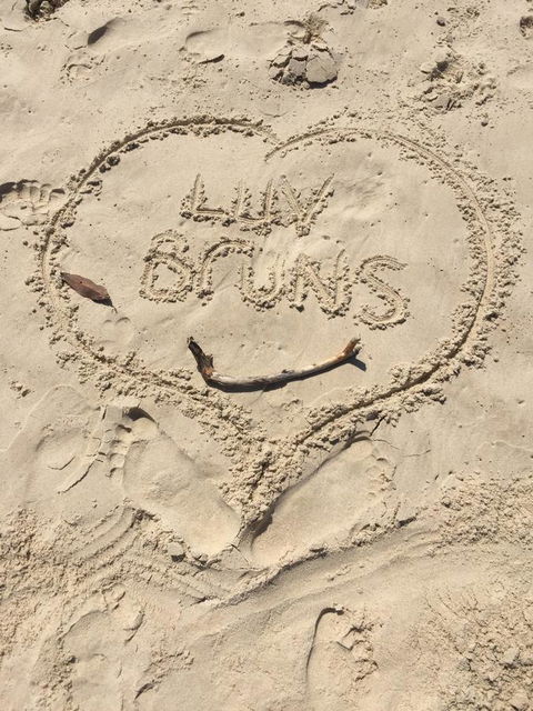 Brunswick Heads Treetop Studio - Grafton Accommodation 5