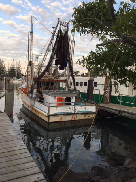 Brunswick Heads Treetop Studio - Grafton Accommodation 25
