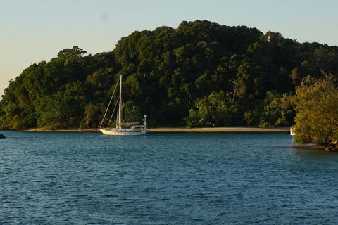 Brunswick Heads Treetop Studio - Grafton Accommodation 9