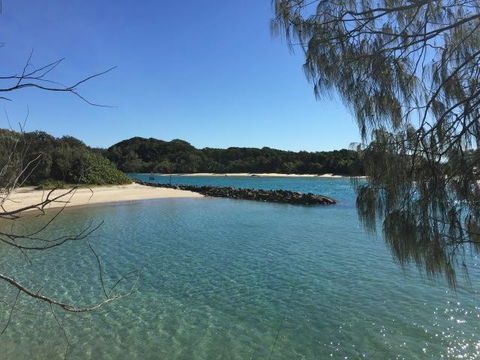 Brunswick Heads Treetop Studio - Grafton Accommodation 22