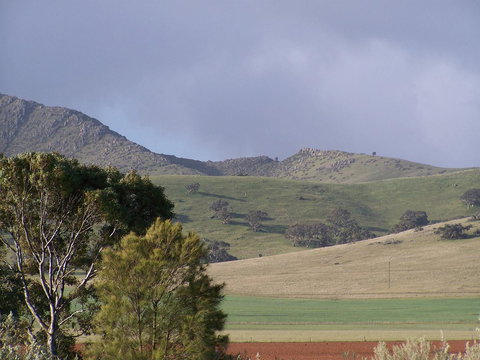 Burra Motor Inn - Grafton Accommodation 32