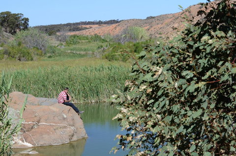 Burra Motor Inn - Grafton Accommodation 34