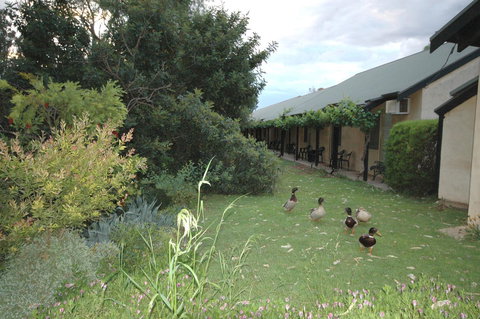 Burra Motor Inn - Grafton Accommodation 24