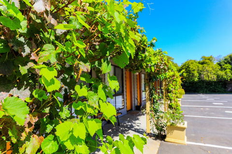 Country Roads Motor Inn Naracoorte - Grafton Accommodation 18