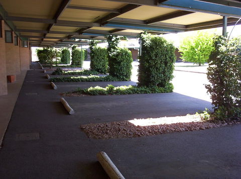 The Wine Vine Hotel - Grafton Accommodation 17