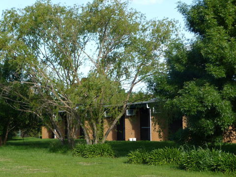 The Wine Vine Hotel - Grafton Accommodation 18