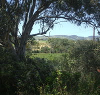 Archery Road Estate - Grafton Accommodation