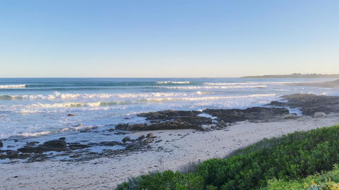 Milly\'s Middleton - Pet-friendly - Grafton Accommodation 3