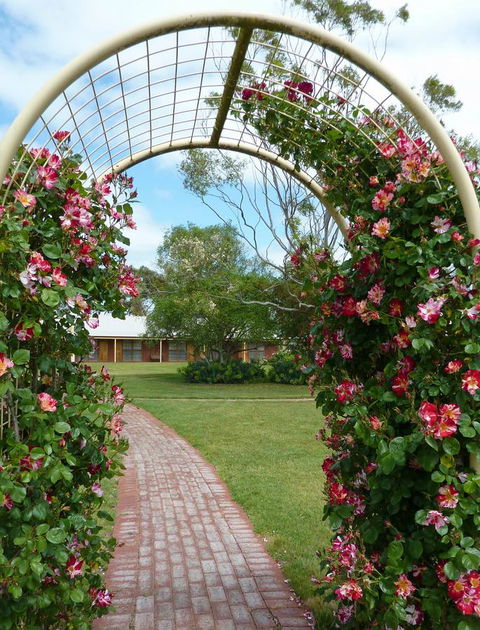 Coonawarra Place Motor Inn - Grafton Accommodation 20