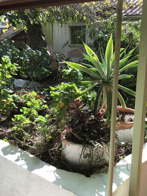 Cosy Nook - Grafton Accommodation 19