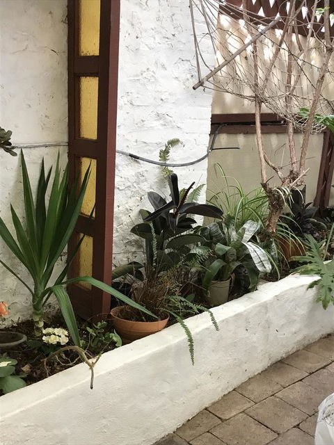 Cosy Nook - Grafton Accommodation 16