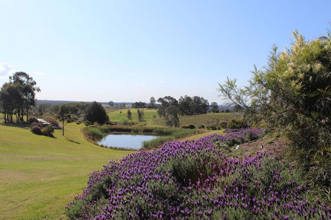 Beltana Villas - Grafton Accommodation 7